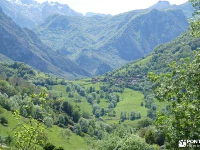 Parque Natural Ponga-Puente de Mayo;excursiones desde toledo escapada tematica accesorios para sende